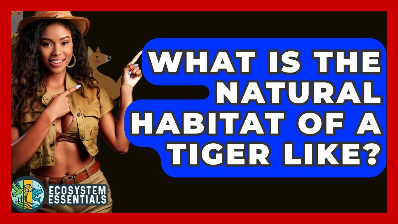 What Is The Natural Habitat Of A Tiger Like? - Ecosystem Essentials