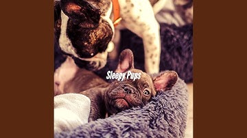 Pulsating Moods for Resting Pup