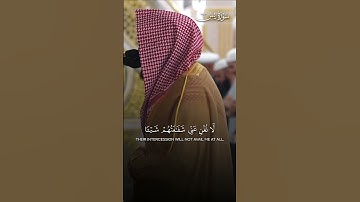 تلاوة بديعة من سورة يس | تلاوة فضيلة الشيخ د.#عبدالله_القرافي