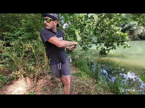 Carp Live LIVE- Rediff Archive Cult
