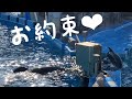 やっぱり行くのね♡ トレーニング中のアース　　　名古屋港水族館