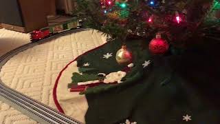 IMG 3590
