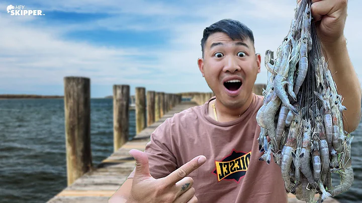 Hand Catching HUGE Amount of Shrimp | Catch, Clean...
