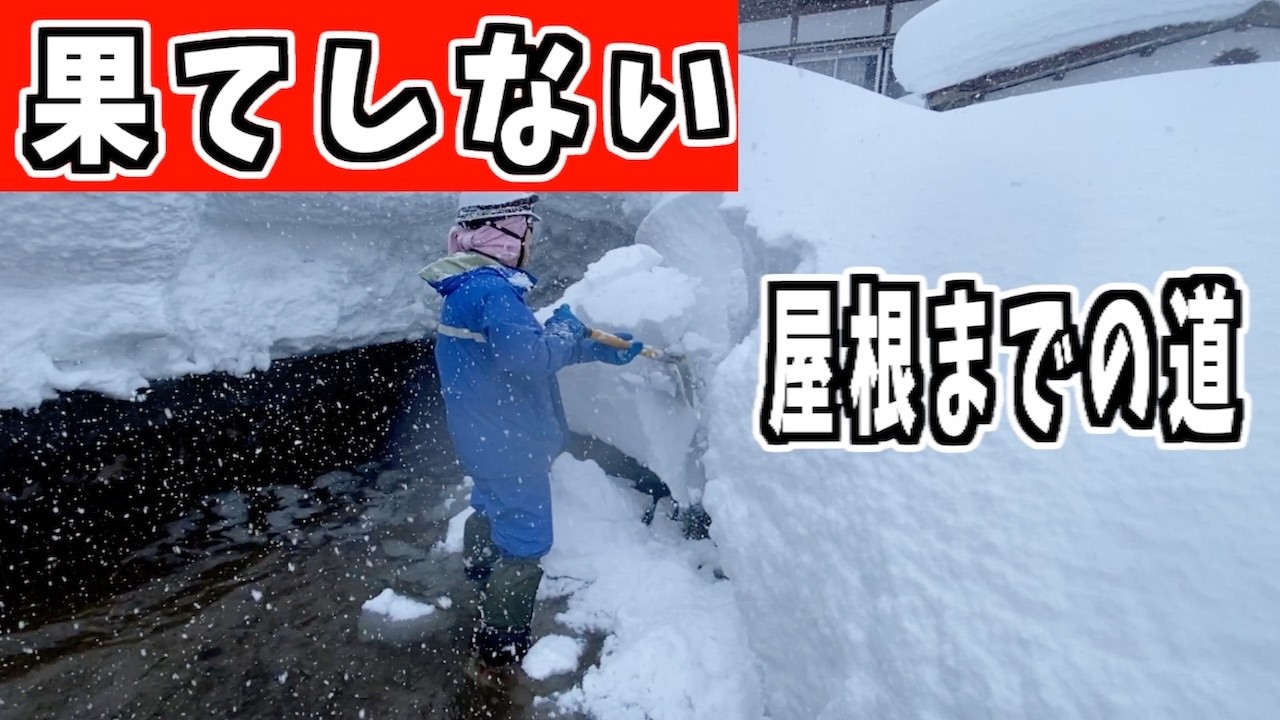 2025-02-23 (Sun) The road to the endless roof. Even if the snow is