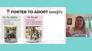 Foster to Adopt Programs: Supportive pathways from shelter to home - MMFC webcast