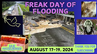 FREAK DAY OF FLOODING