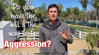 Want to fix your dog's dog on dog aggression?  Here's how!