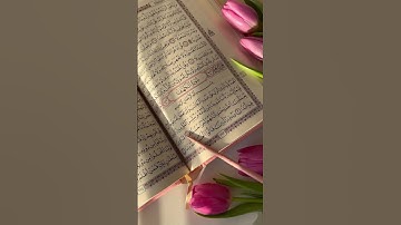 قراءة سورة الكهف نور بين الجمعتين.اللهم اجعل القرآن ربيع قلوبنا ونور صدورنا وجلاء أحزاننا.💌🪶