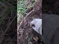 WHOA - See It? #history #relics #metaldetecting #minelabmanticore  #parkmetaldetecting #treasure