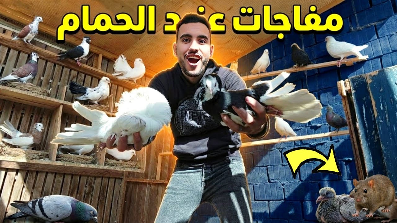 لقيت مفاجات وصدمات عند الحمام 😱وفي ضحيه صدمتني !