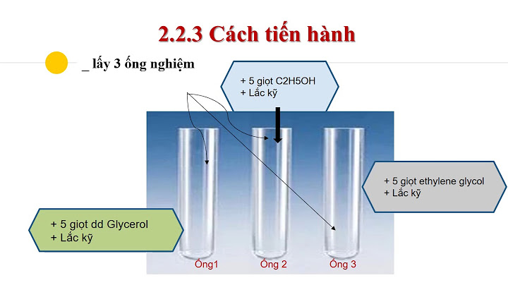 Báo cáo thực hành thí nghiệm hóa hữu cơ năm 2024