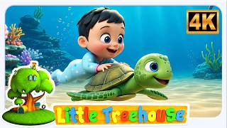 kaboochi song potty training song boo boo song many more
