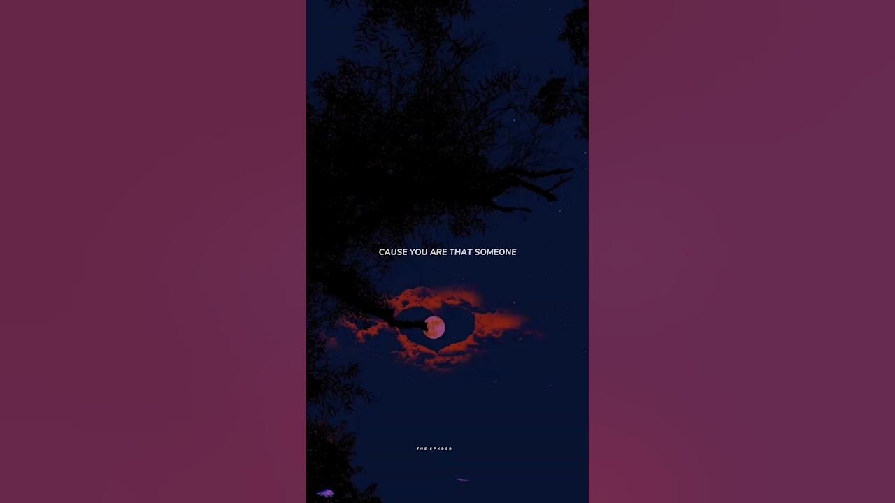 ALONE PT 2 🤍// English lyrics aesthetic whatsapp status 💖