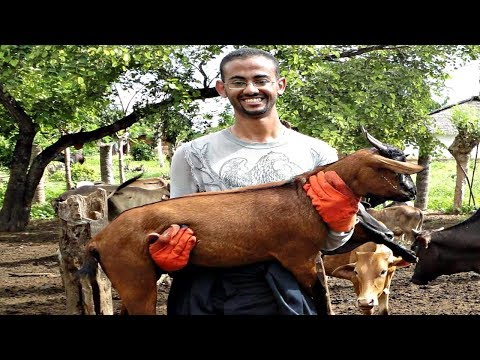 زرعت أعشاب بحرية في أفريقيا | سافر و تطوع | Travel to Volunteer زرعت أعشاب بحرية في أفريقيا | سافر و تطوع | Travel to Volunteer