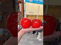 愛知で1番美味しい蜜たっぷりのりんご飴がうますぎ！【愛知 りんご飴専門店ar.】