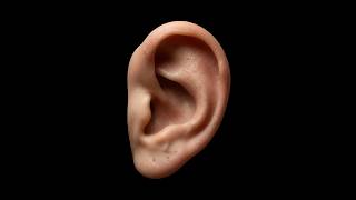 How Old Are Your Ears (Not for sensitive ears)
