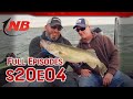 Season 20 episode 4 fall cranking for massive lake oahe walleyes