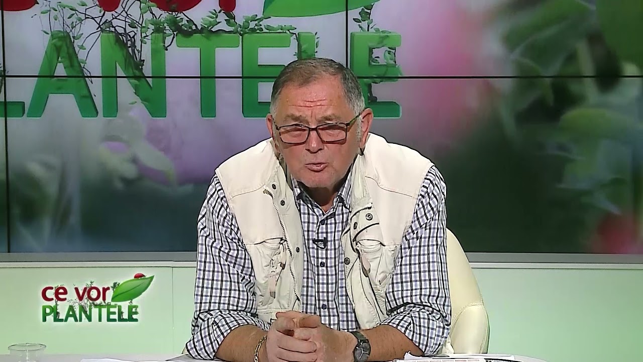 VIDEO Dr. Ing. Horia Ghibu - Sfaturi pentru săpăturile din grădină 1 VIDEO Dr. Ing. Horia Ghibu - Sfaturi pentru săpăturile din grădină YouTube player