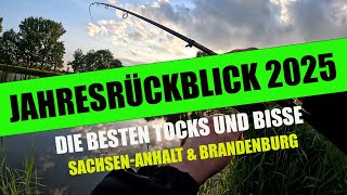 Zander, Hecht und Barsch - Jahresrückblick 2025 - die besten Tocks und Bisse - Angeln auf …… 😉
