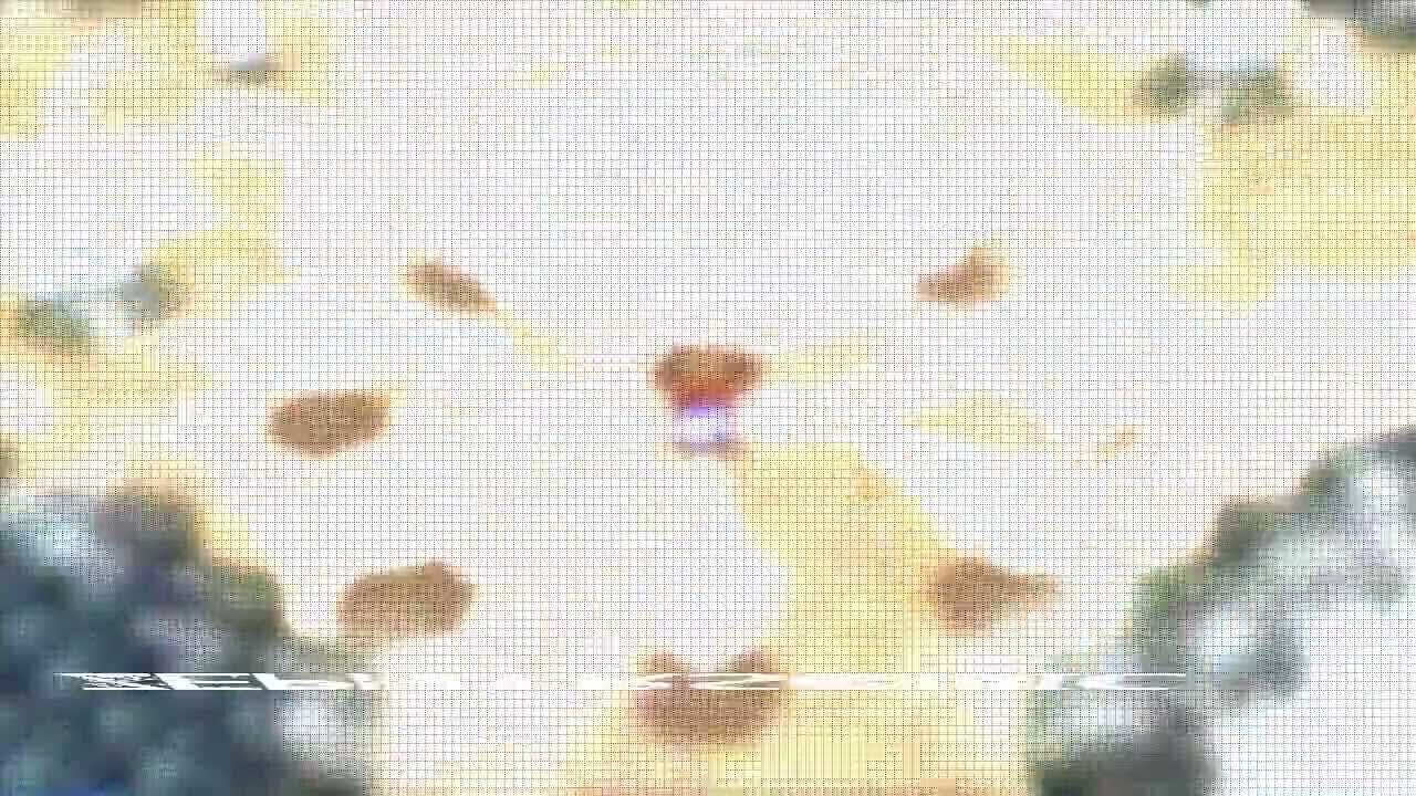 Intro requested by ZephyrSonic V.3