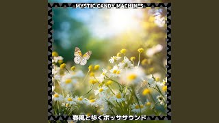 Sparkling Cascade Harmony