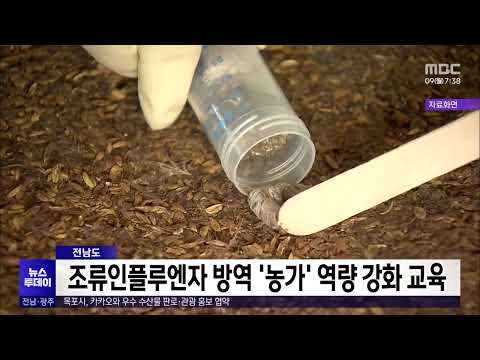 전남도, 조류인플루엔자 방역 &amp;#39;농가&amp;#39; 역량 강화 교육[목포MBC 뉴스투데이]