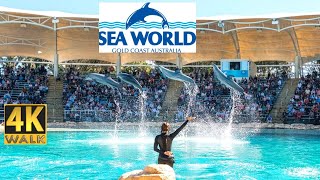 Seaworld Gold Coast, Australia  4K Walk Tour