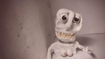 CSSSA 2020 animation application