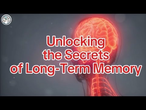 Unlocking the Secrets of Long-Term Memory - YouTube