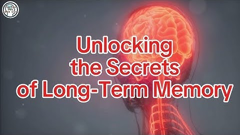 Unlocking the Secrets of Long-Term Memory