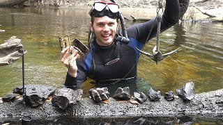 видео: Поиск ископаемых во Флориде: разведка наконец-то окупается картинка: Поиск ископаемых во Флориде: разведка наконец-то окупается