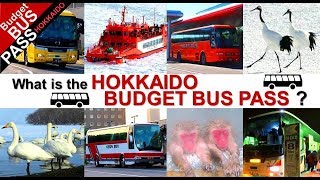 What is the [HOKKAIDO BUDGET BUS PASS] 