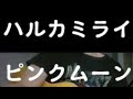ハルカミライ/ピンクムーン cover