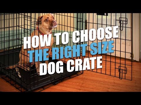 dog-crate-sizes:-how-to-size-a-dog-crate-for-a-perfect-fit