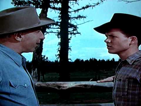 Green Grass of Wyoming (1948)