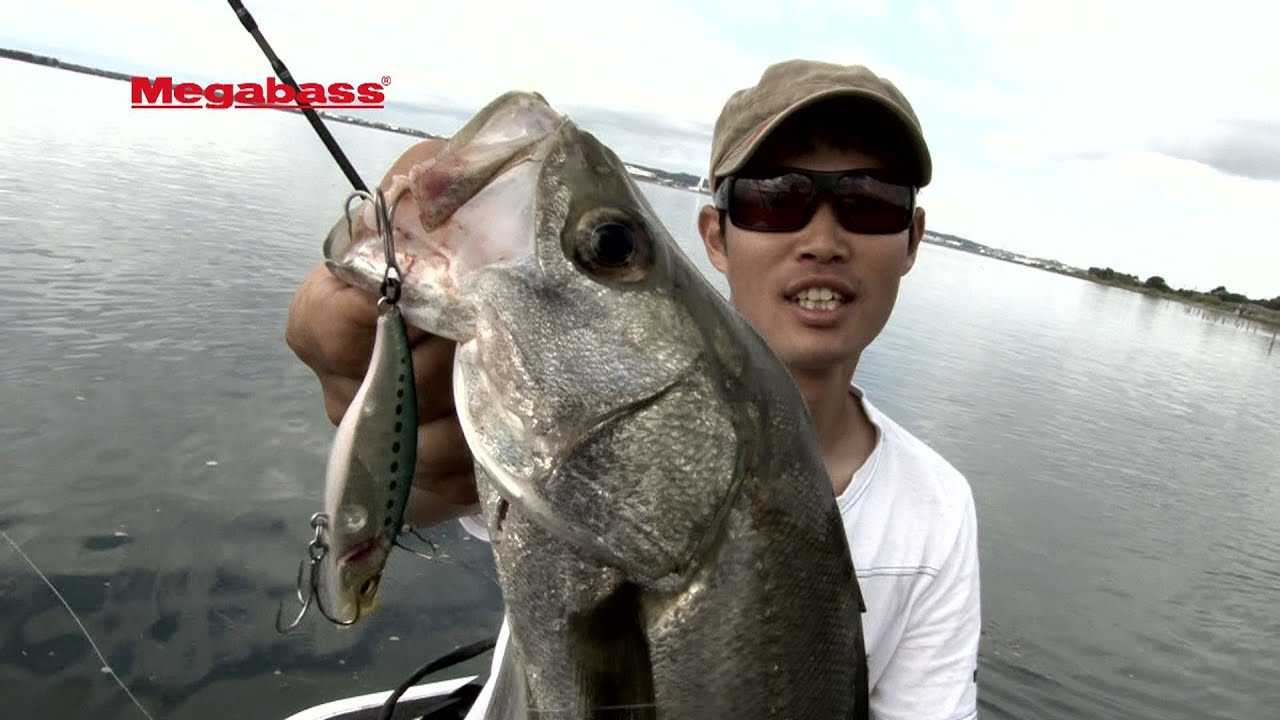 風が吹いたらバイブレーション Cut Vib Range Drive コチを撃墜 Megabass メガバス 風が吹いたらバイブレーション Cut Vib Range Drive コチを撃墜 Megabass メガバス