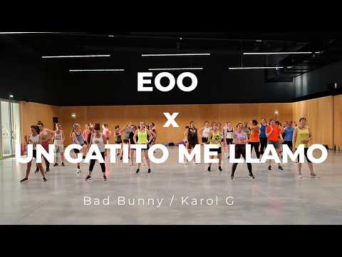 EOO X UN GATITO ME LLAMÓ - Bad Bunny - Karol G - Vamos Zumba - Ludivine LIPARI