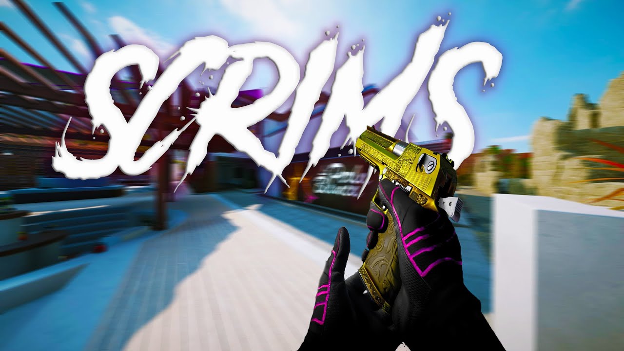 𝒪𝓃𝓁𝓎 𝒮𝒸𝓇𝒾𝓂𝓈 - HIGHLIGHTS [R6-PC] - YouTube