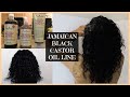 Shea Moisture Jamaican Black Castor Oil Line Wash & Go