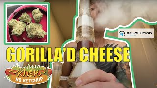 Gorilla'd Cheese Strain Review | KUSH NO KETCHUP