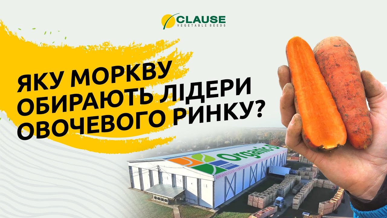 БОЛІВАР F1 - ІДЕАЛЬНА МОРКВА ДЛЯ БІЗНЕСУ!