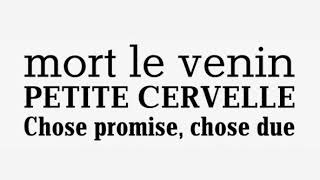 Manutius Pro Font Download