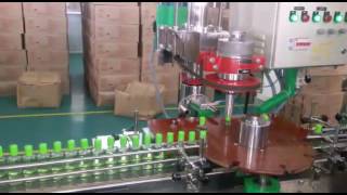 Automatic Six Head Filling & Inner plug pressing & Semi Automatic cap Tightening machine functioning