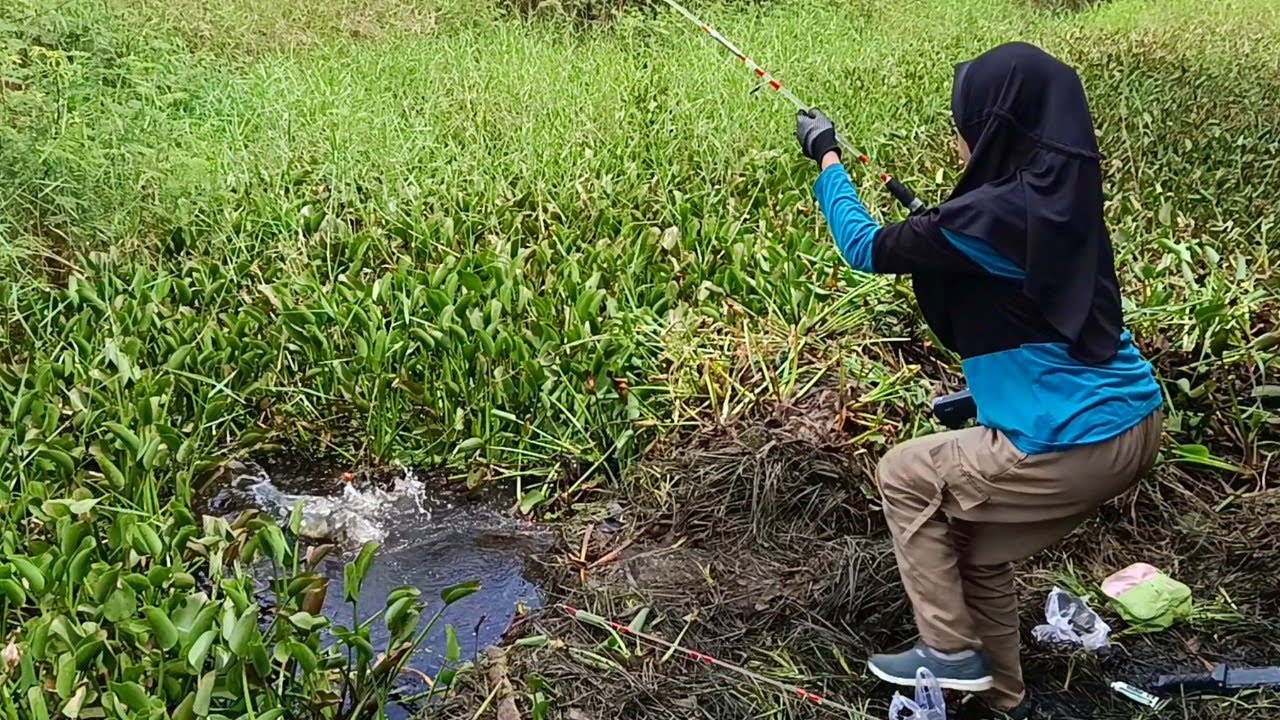 GANASS!! MEMBONGKAR SARANG PARA PREDATOR