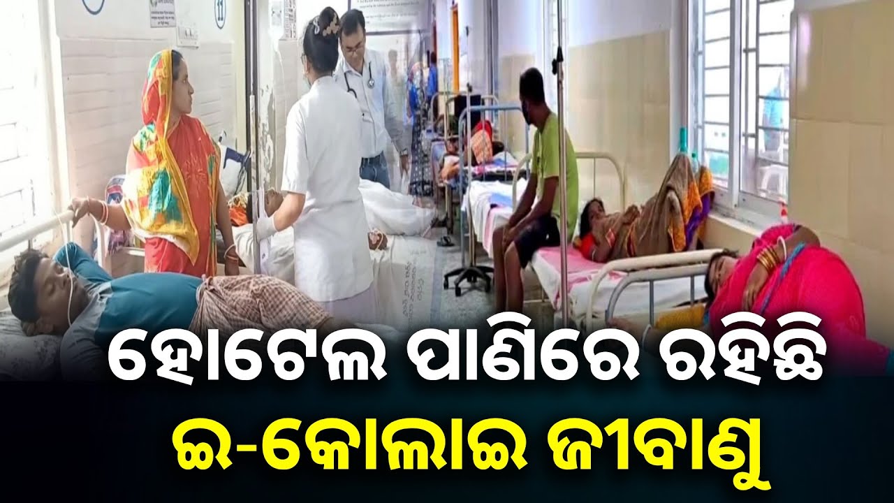 ୬ଟି ହୋଟେଲକୁ ସିଲ କଲା ଦର୍ପଣ ତହସିଲ ପ୍ରଶାସନ, ଜଳ ନମୁନାରୁ ମିଳିଲା ଇ-କୋଲାଇ ପଜେଟିଭ || Knews odisha