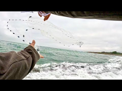 Nobody Talks About These Fish!