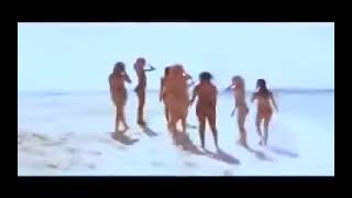 Reggaeton goes wild 2