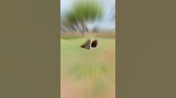 90ft double  backflip. arrma talion & typhon