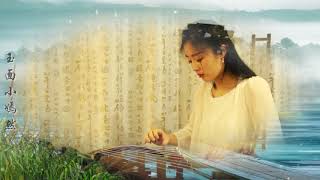 林海 - 琵琶语 | 古筝 Guzheng Cover | 玉面小嫣然 chords