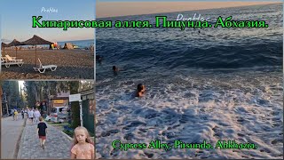 картинка: Кипарисовая аллея. Пицунда. Абхазия.Cypress Alley. Pitsunda. Abkhazia.